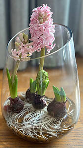 Sutherlands Blog Image